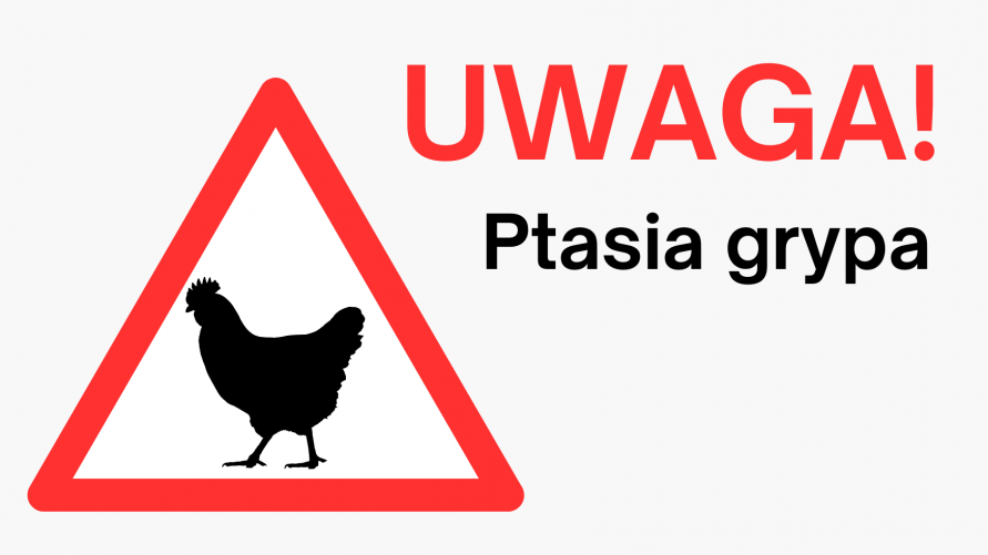 Uwaga, ognisko ptasiej grypy w powiecie zgierskim