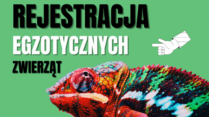 Rejestracja egzotycznych zwierząt
