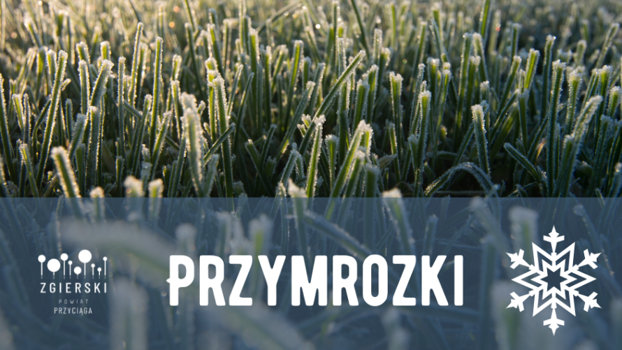 Uwaga! W nocy (11/12 maja) możliwe są przymrozki