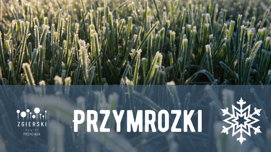 Uwaga przymrozki (12/13 maja)
